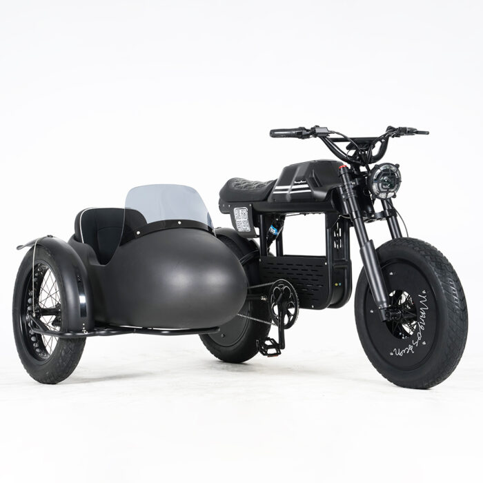 FT01 sideacar Electric Bike With Sidecar FT01