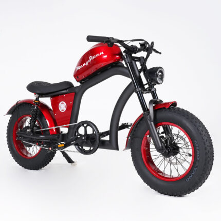 FT02 MINI RED E Bike Wholesale