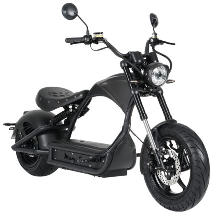 Mangosteen Electric Chopper Motorcycle