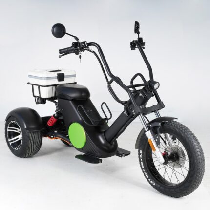 Citycoco Factory 3 Wheel M1P