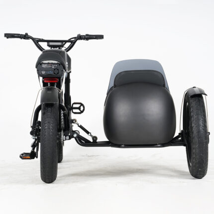 ft01 ebike sidecar