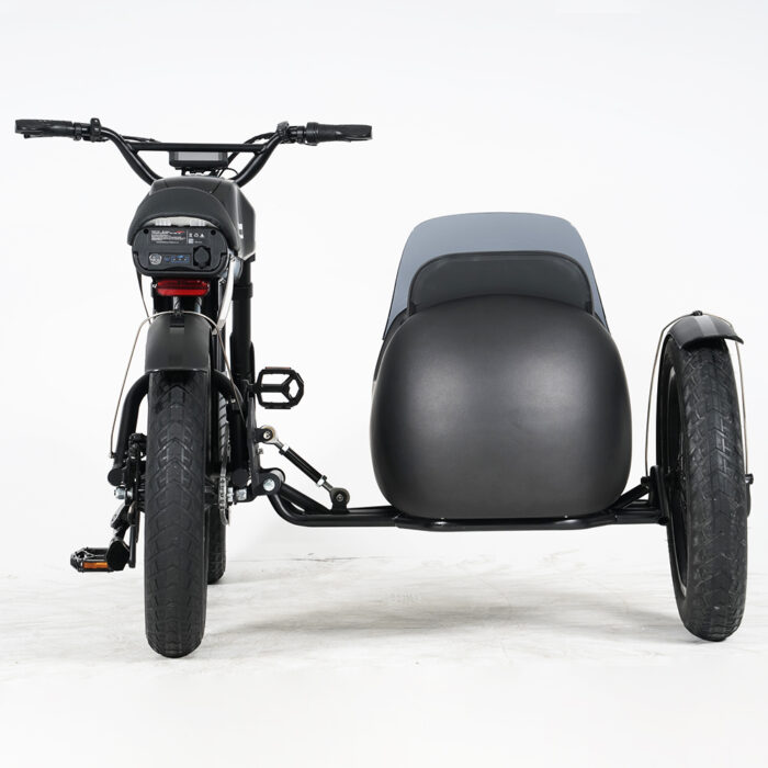 ft01 ebike sidecar