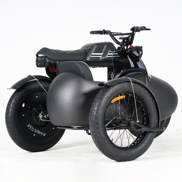 ft01 ebike with sidecar