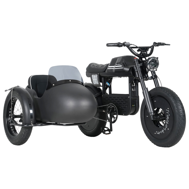 ft01 sidecar