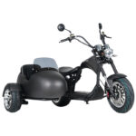 m1p sidecar (electric scooter with sidecar)
