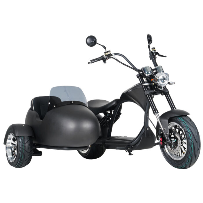 m1p sidecar （electric scooter with sidecar）