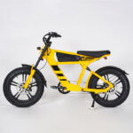ebike for students