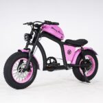 girl ebike