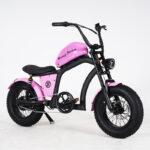 lass bicycle