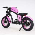 lass bicycle