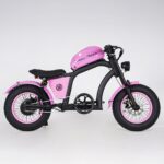 lass ebike