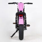 mangosteen lass bicycle