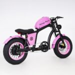 mangosteen lass bike